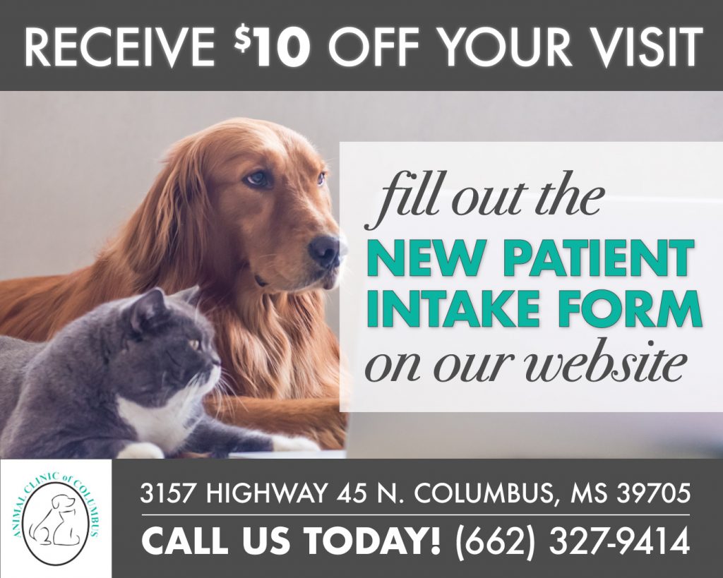 Veterinary Specials in Columbus, MS Animal Clinic of Columbus